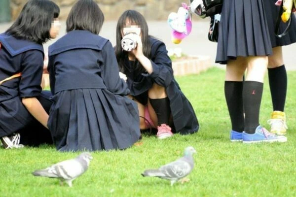 お外でしゃがみパンチラしてるJK画像集177枚 17